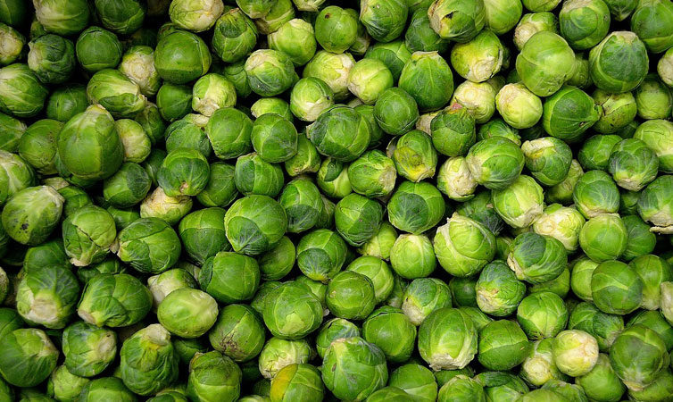 Brussels Sprouts