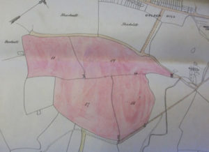Golden Hill - Horfield and District Allotments