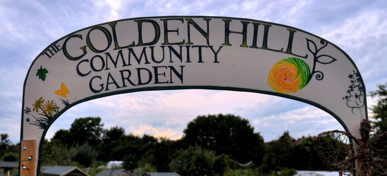 Golden Hill Community Garden - Horfield and District Allotments