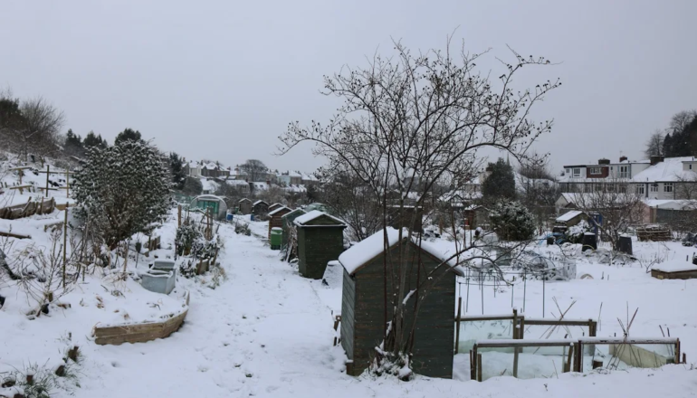 Birchall Road allotments Haulingway in Snow 2018