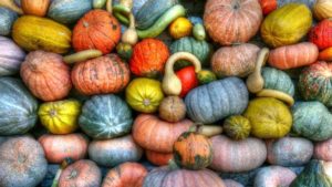 mixed squash