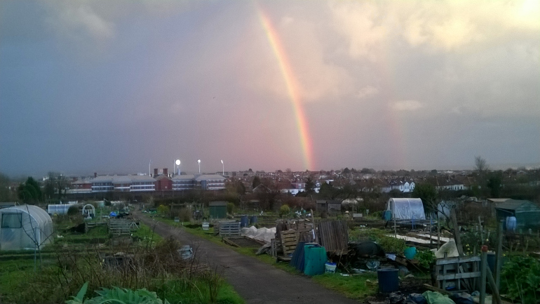 Field Representatives - Horfield and District Allotments