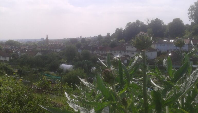 Home - Horfield and District Allotments