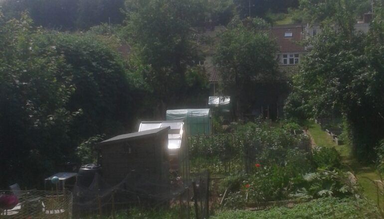 Home - Horfield and District Allotments