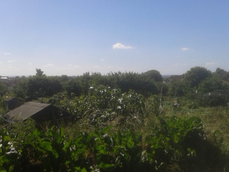 Complaints / Disputes Procedure