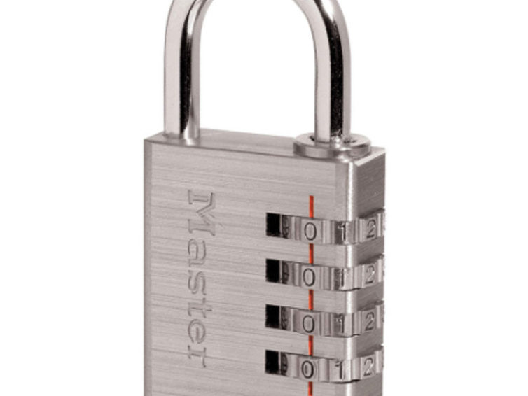 Lock for Field Gates