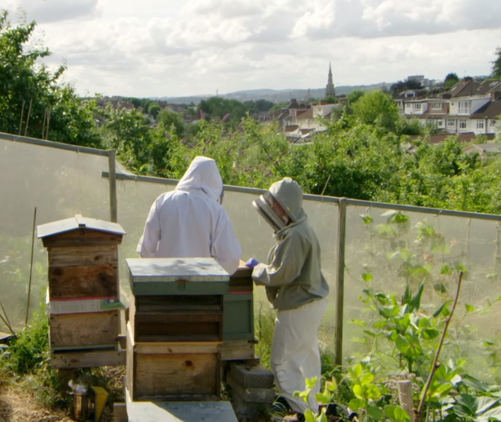 Beekeeping on Allotments - Horfield and District Allotments