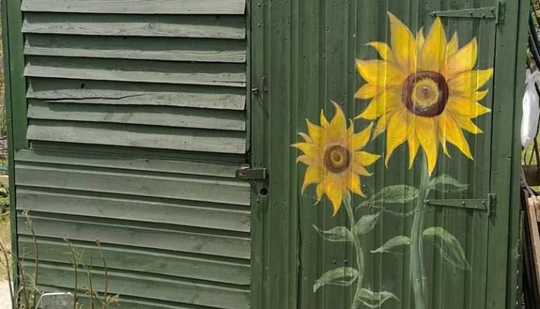 Home - Horfield and District Allotments