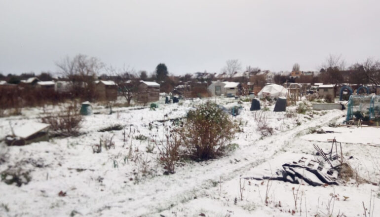 Home - Horfield and District Allotments